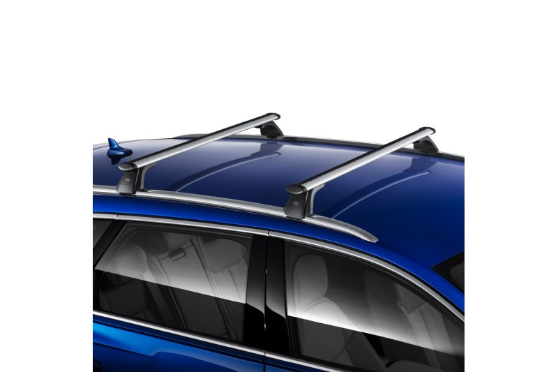 Audi A6 (C8) avant dakdragers