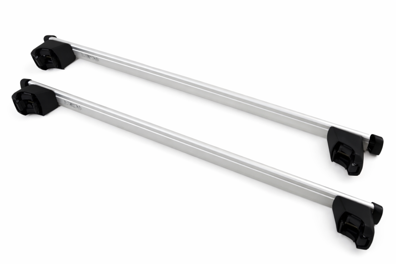 Audi e-tron (4K) / Q8 e-tron dakdragers