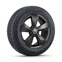 Škoda Nanuq 17" inch met winterbanden