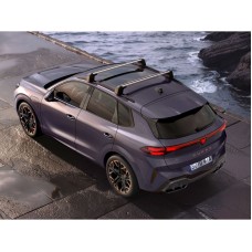 CUPRA Terramar dakdragers