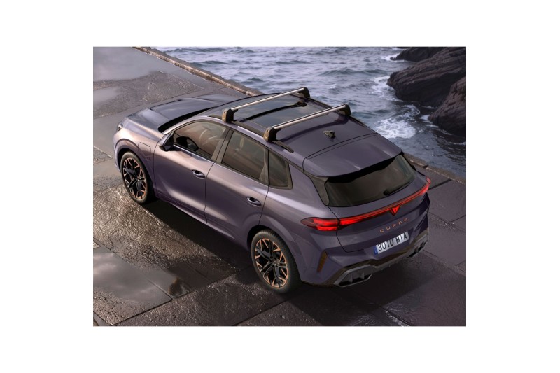 CUPRA Terramar dakdragers CUPRA Terramar dakdragers