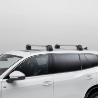 Volkswagen Tayron (DN) dakdragers