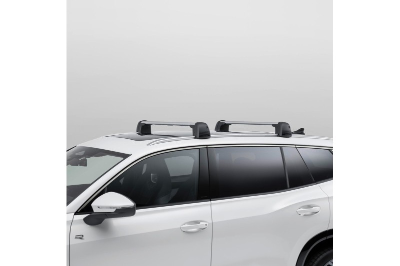 Volkswagen Tayron (DN) dakdragers