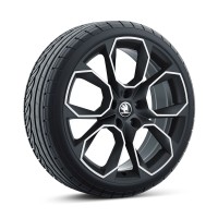Škoda Xtreme 19" inch met zomerbanden (zwart)