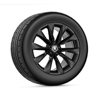 Škoda Crystal 19" inch met winterbanden
