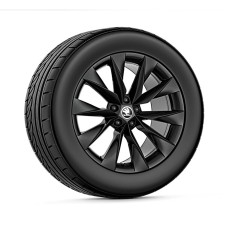 Škoda Crystal 19" inch met winterbanden