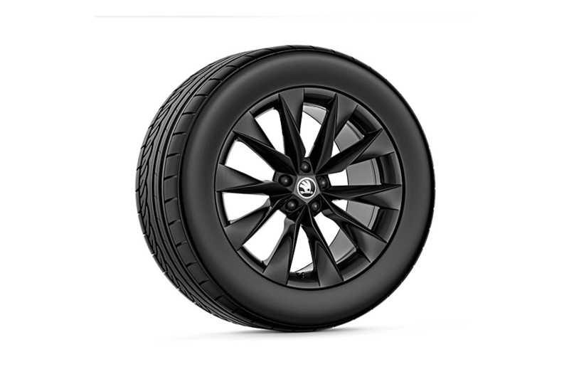 Škoda Crystal 19" inch met winterbanden