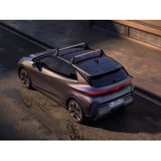 CUPRA Raval dakdragers