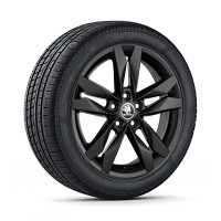 Škoda Canis 16" inch met winterbanden