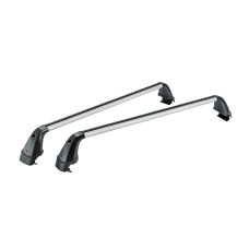 Audi A6 Avant e-tron dakdragers