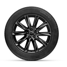Audi Q4 e-tron (19 inch) velgen met winterbanden (breedset)