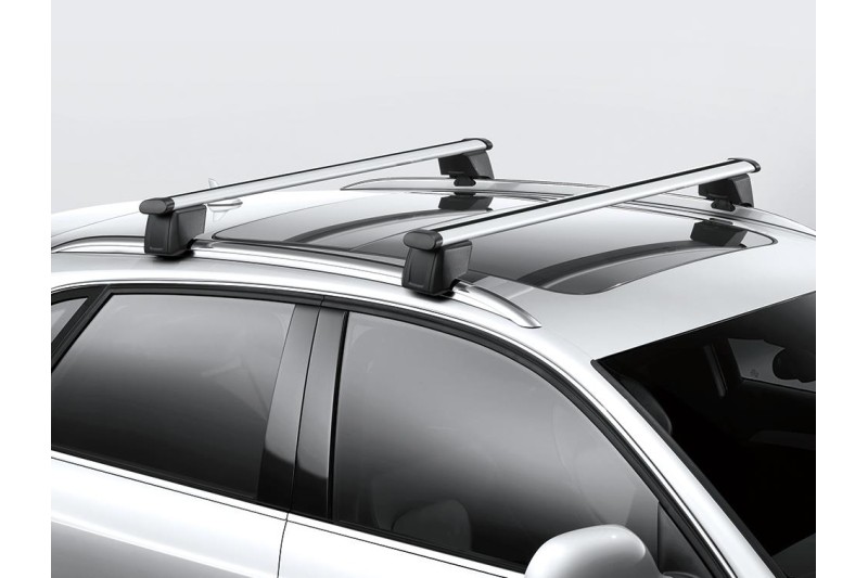 Audi Q3 (8U) dakdragers