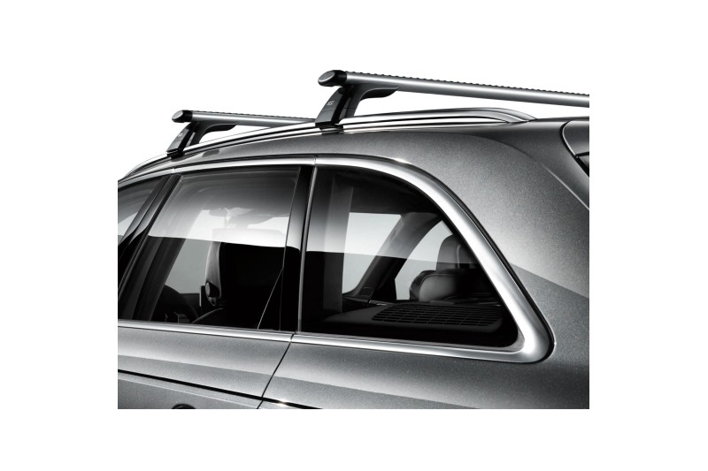 Audi A4 allroad quattro (B9/B10) dakdragers