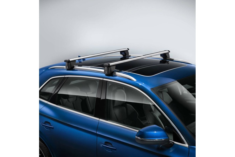 Audi Q5 (FY) dakdragers