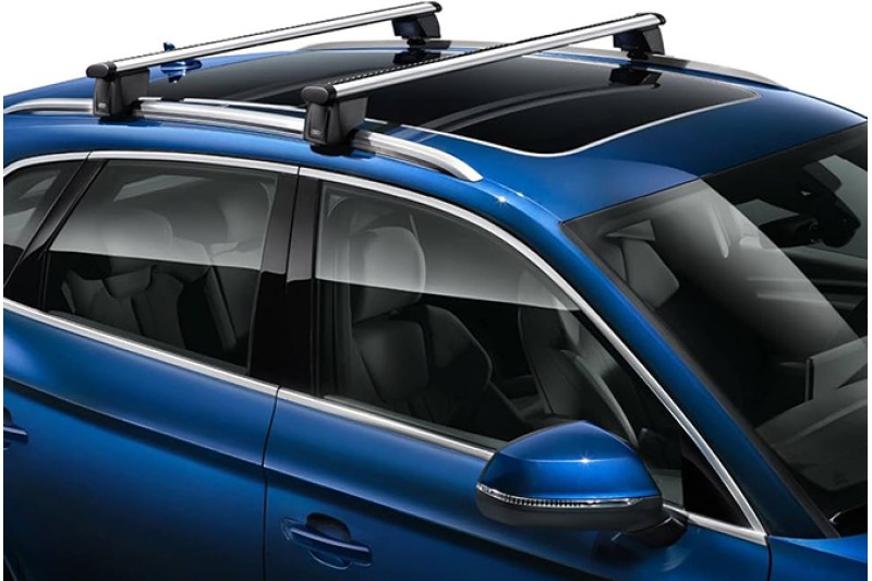 Audi Q4 e-tron (sportback) dakdragers