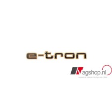 Audi E-tron logo zwart oranje