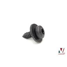 Torx schroef N10512701