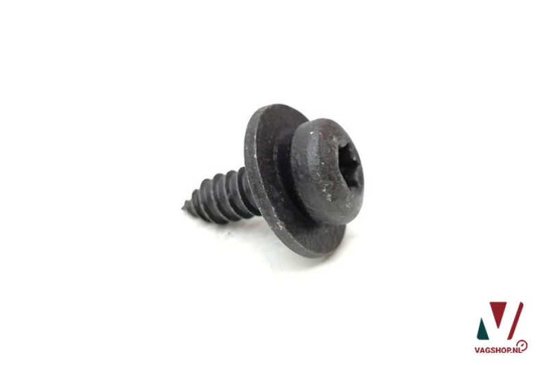 Torx schroef N10512701