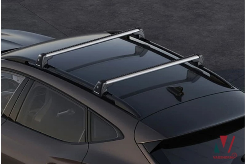 CUPRA Formentor dakdragers