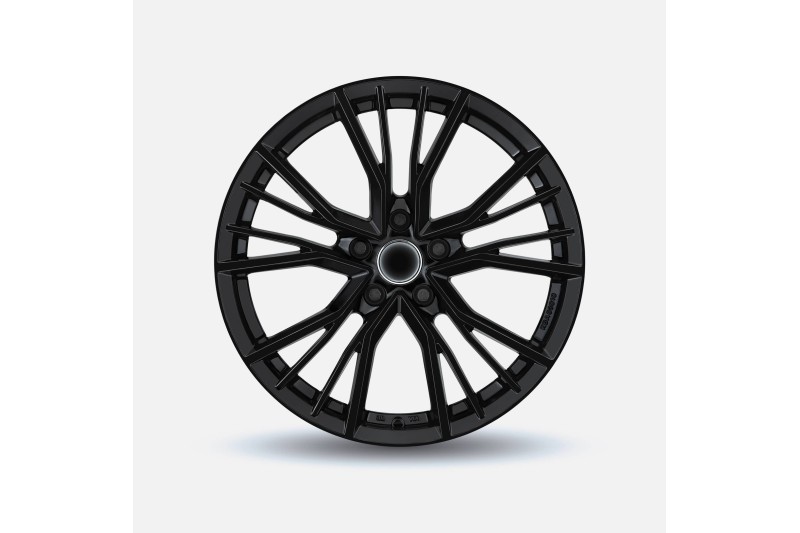 Audi A5 (B9) winterset - 18 inch (stijl 10)