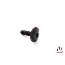Torx zelftappende schroef