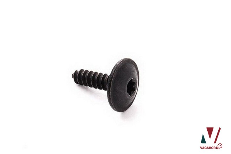 Torx zelftappende schroef