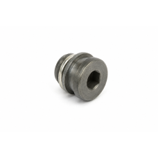 Volkswagen afdichtplug met afdichtring M10x1x10