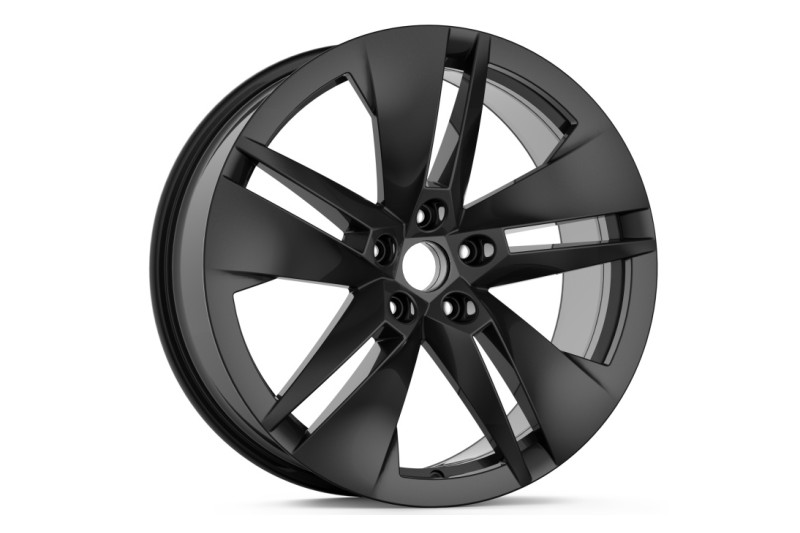 Škoda Proteus 19" inch met winterbanden