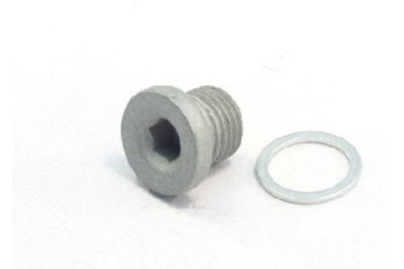 Afsluitschroef Haldex (oliepan)