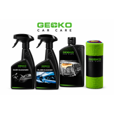 Gecko complete poets- & reinigingsset 