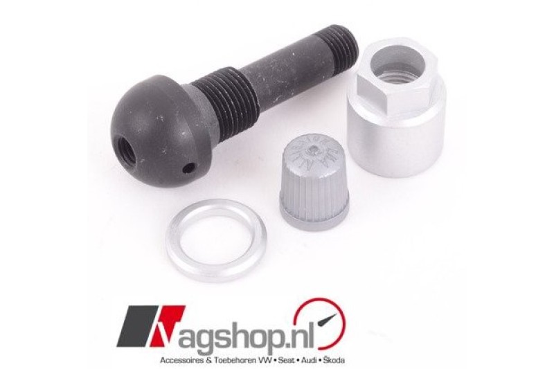 Audi metalen ventiel 420601361A 