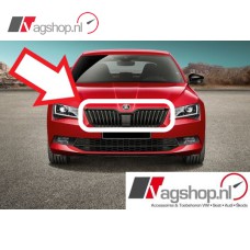 Skoda Octavia (5E) RS Grill -Glanzend zwart 