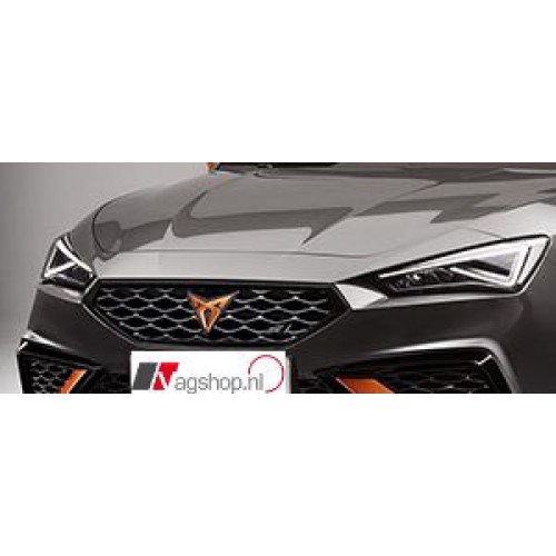 Cupra Grille inclusief Logo Leon 5FA 2020 >