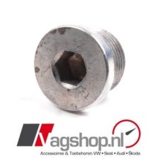Aftap- en vulplug N10037105