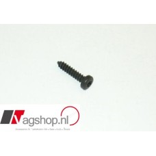 Torx schroef 4,2 x19