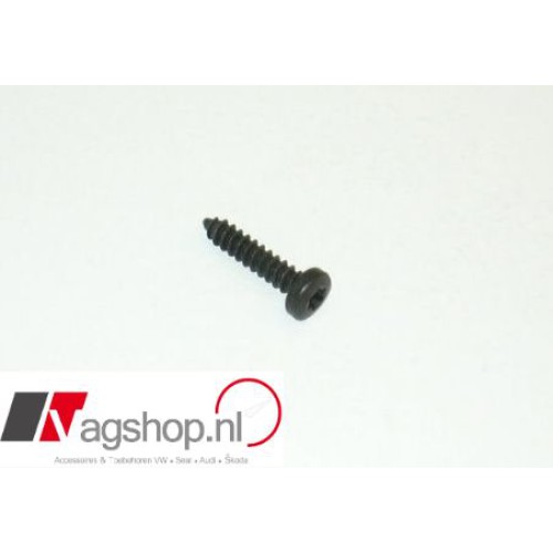 Torx schroef 4,2 x19