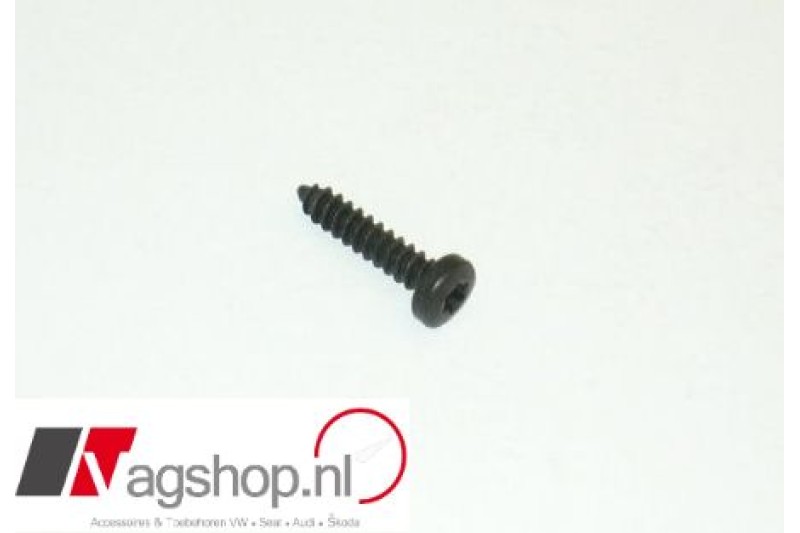 Torx schroef 4,2 x19