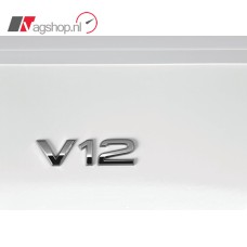 V12 Plaklogo