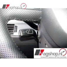 Audi A4 8E /A6 (4F) originele cruise control set voor modellen MET multifunctioneel stuur 