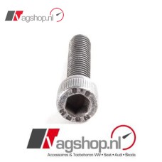 Audi/VW/Seat/Skoda M6X25 Inbusbout met inbus-kop  N  01470514