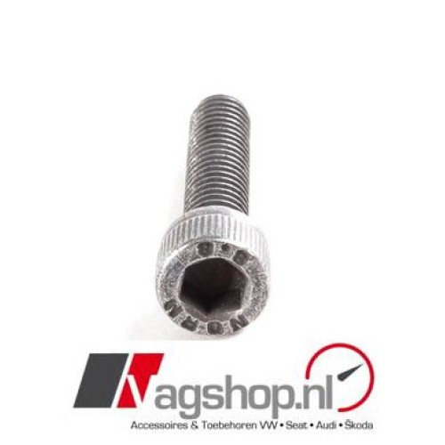 Audi/VW/Seat/Skoda M6X25 Inbusbout met inbus-kop  N  01470514