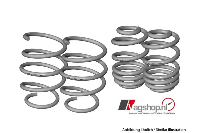 Verlagingsveren voor Audi A3 8P (40MM/30MM)