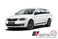 Škoda Octavia (5E) spiegelkappen zwart
