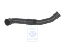 Volkswagen Passat B5 (3B) ontluchtingspijp (AVB)