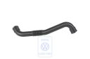Volkswagen Passat B5 (3B) carterventilatieleiding (AVF, AWX, BGW)