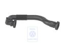 Volkswagen carterventilatieslang (AQN)