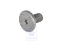 Volkswagen New Beetle (9C) binnen-Torx-schroef spiegelkap M5x11