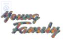 Volkswagen Golf 3 (1H) achteropschrift YOUNG FAMILY - groen/blauw/oker