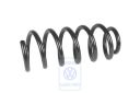 Volkswagen Passat B5 (3B) schroefveer achter (W8) - 1 groene streep
