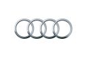 Audi Q8 e-tron (GE), e-tron GT (FW) logo